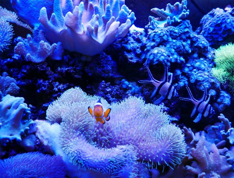 Augenärzte im Zentrum Heilbronn - Praxis